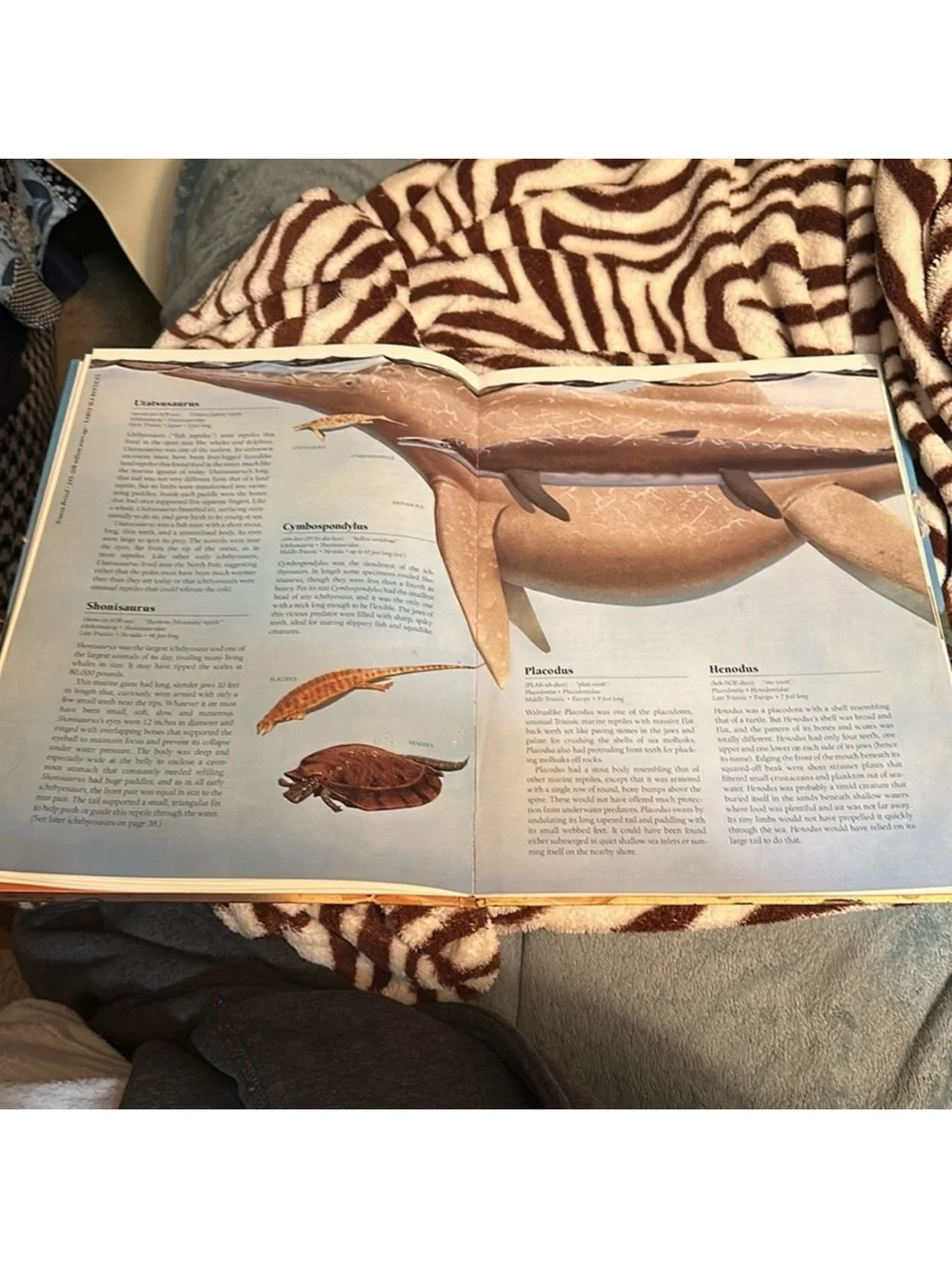 A Gallery of Dinosaurs & Other Early Reptiles 1989 David peters